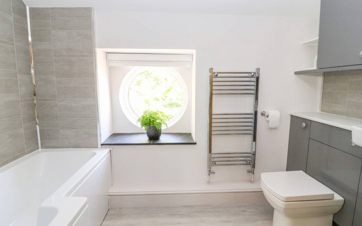 Photo of Others in Mold