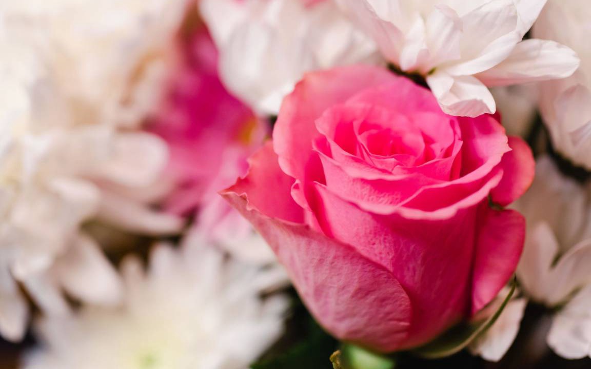 Photo of Others in Beauly