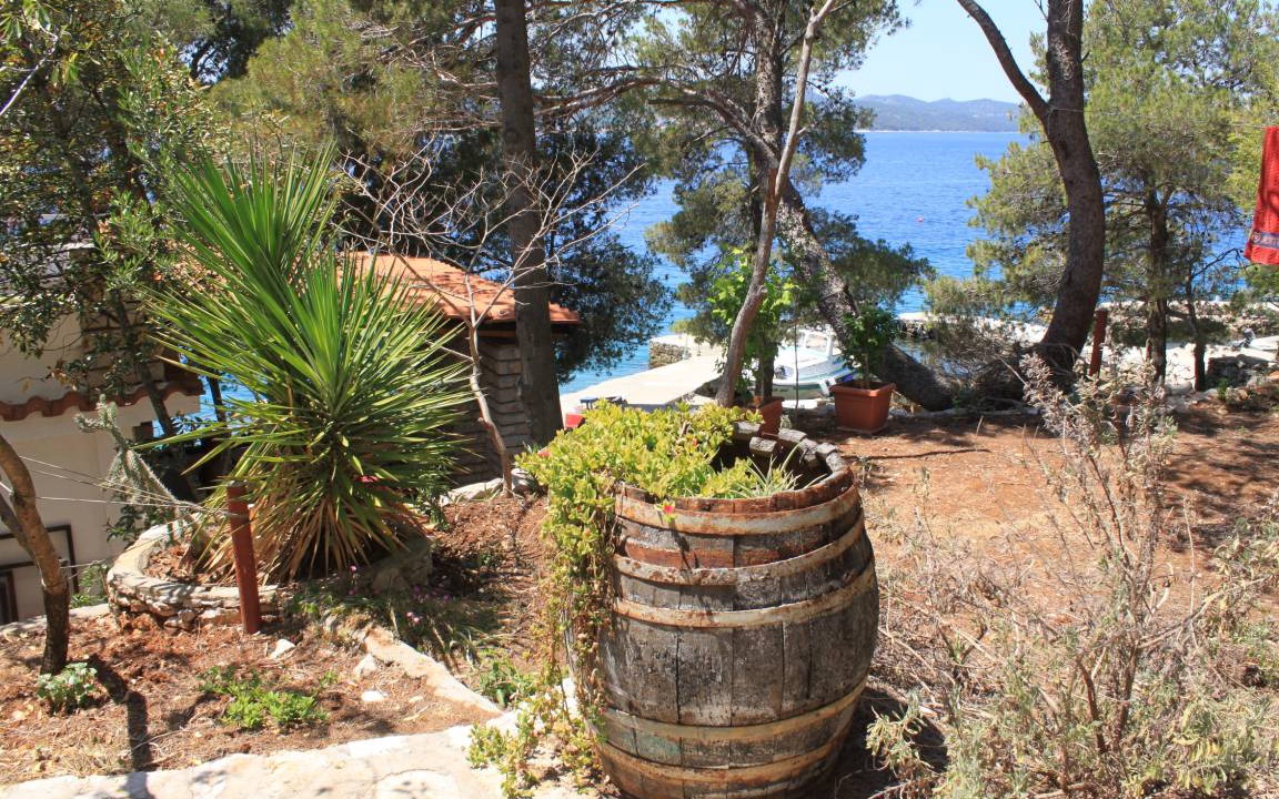 Photo of Others in Island Dugi Otok