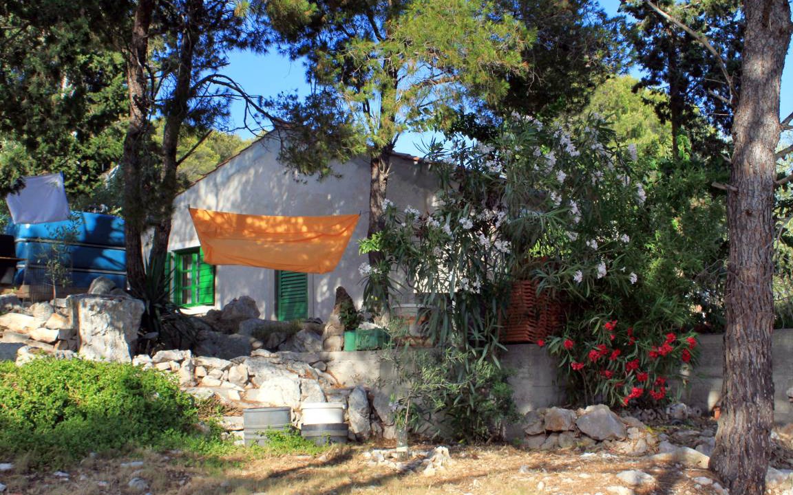 Photo of Others in Island Dugi Otok