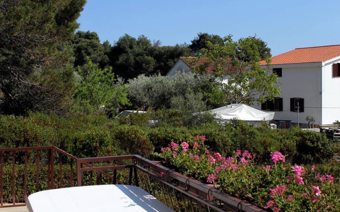 Photo of Others in Molat