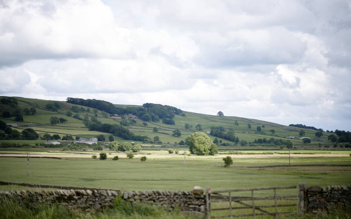 Photo of Others in Settle