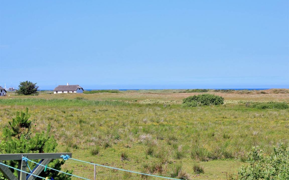 Photo of Others in Torup Strand