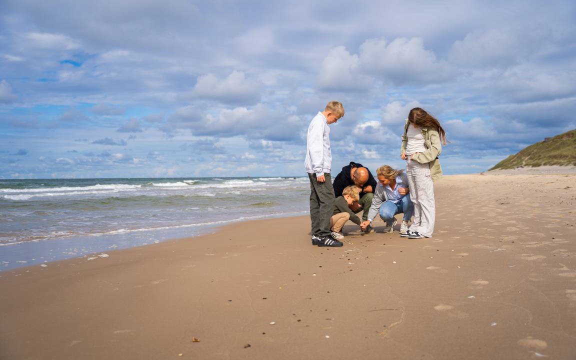 Photo of Others in Hirtshals