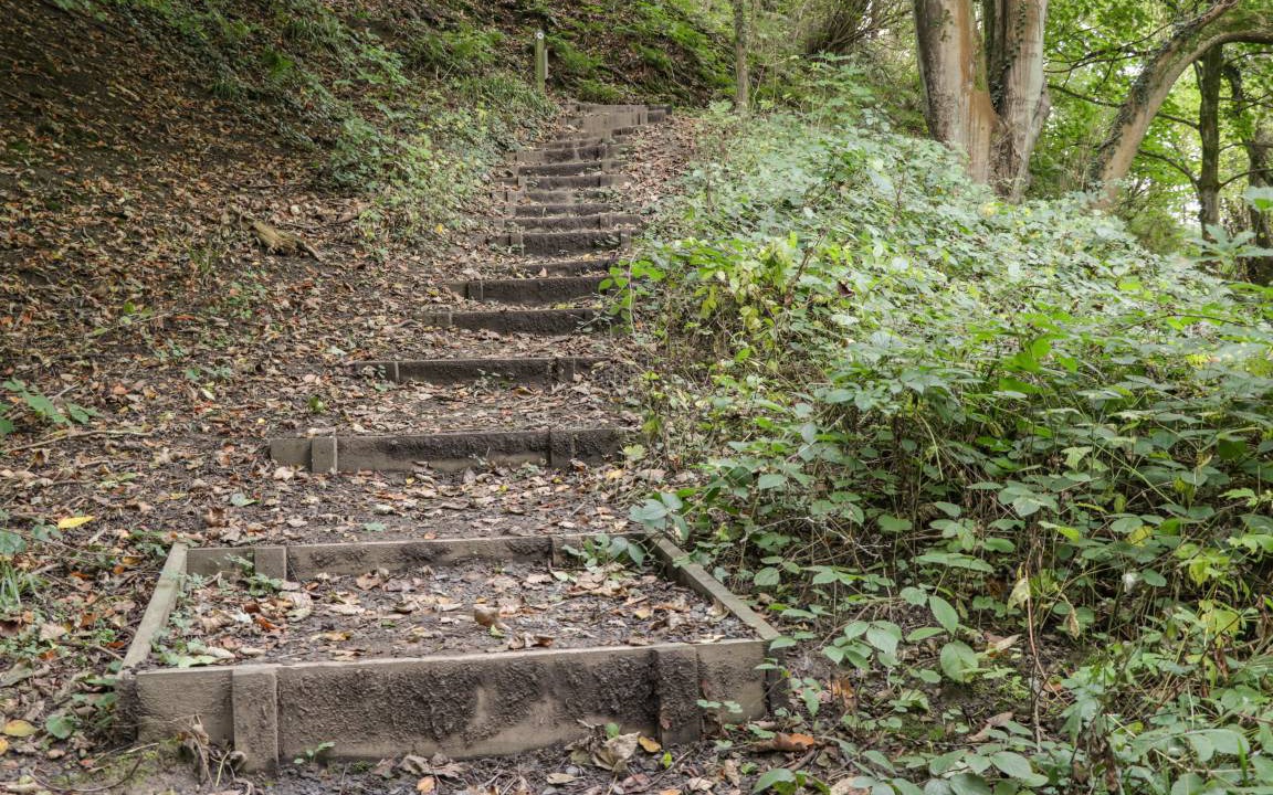 Photo of Others in Great Fryup Dale
