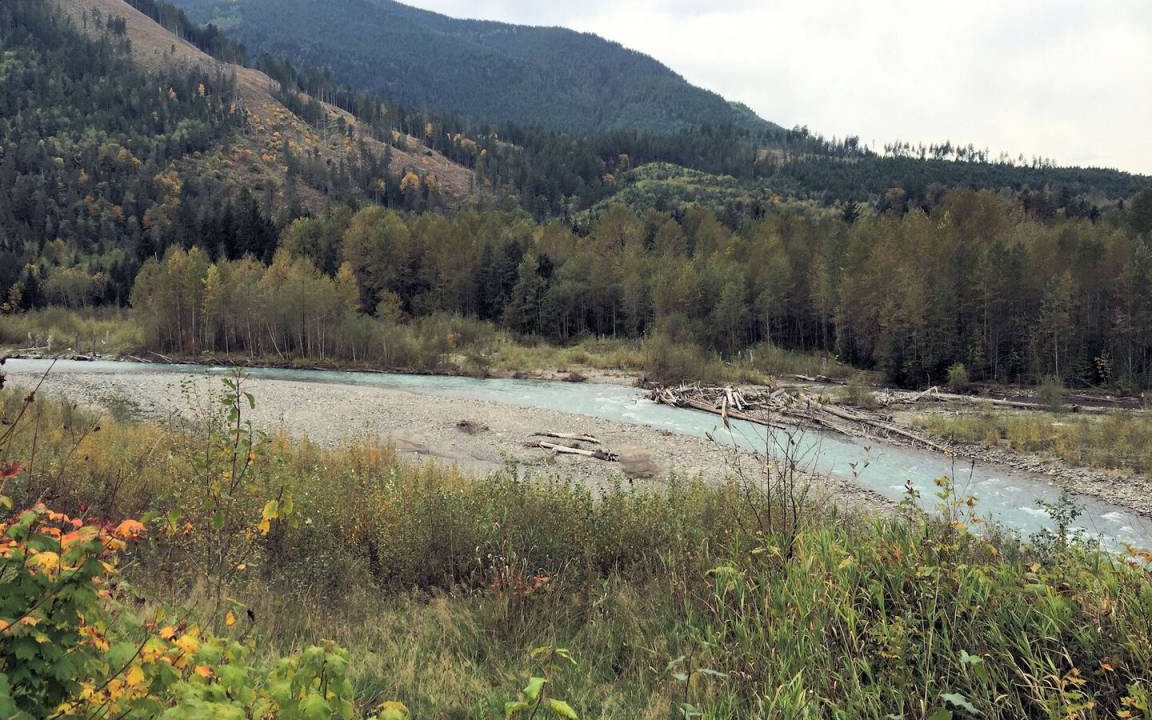Photo of Others in Glacier