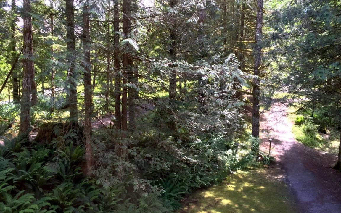 Photo of Others in Glacier
