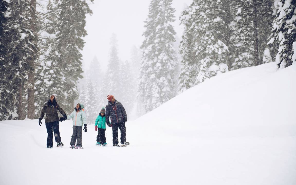 Photo of Others in Truckee