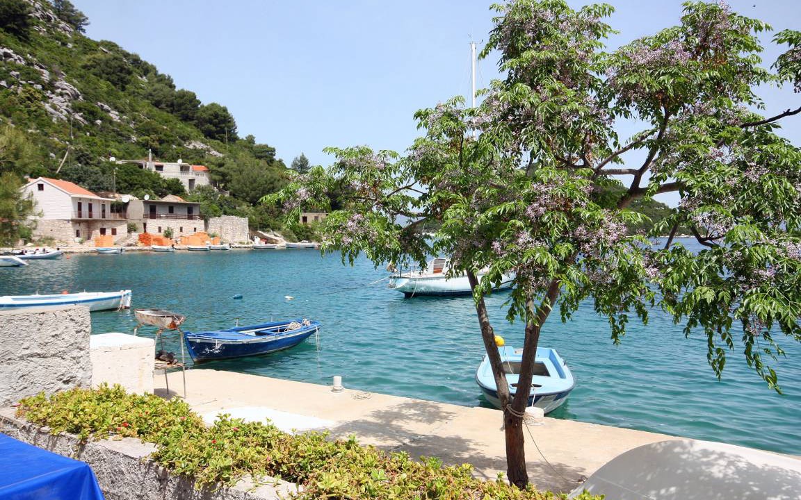 Photo of Others in Prozurska Luka