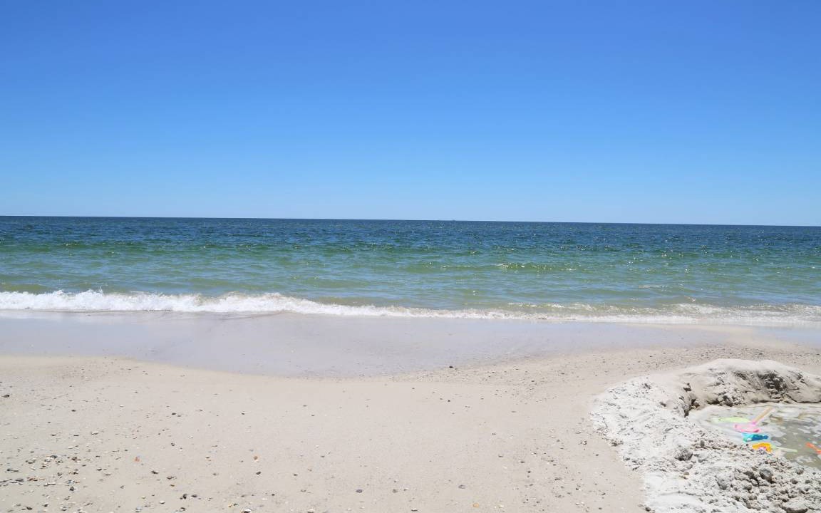 Photo of Others in Gulf Shores