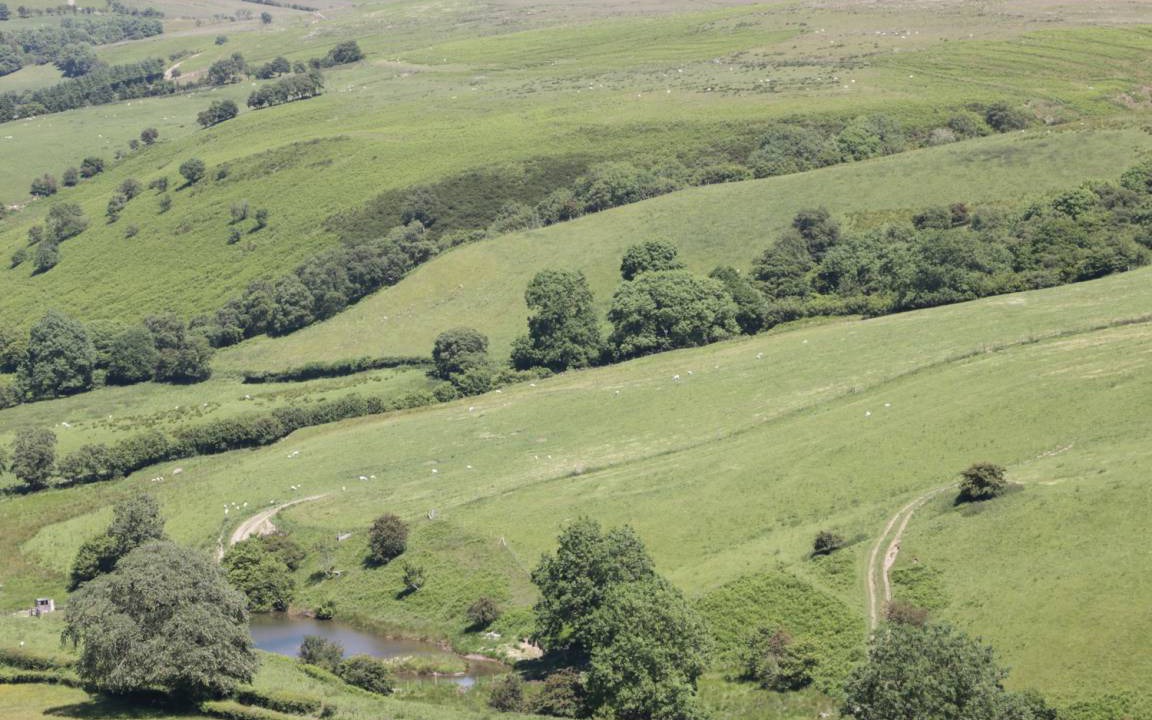 Photo of Others in Newcastle-on-Clun