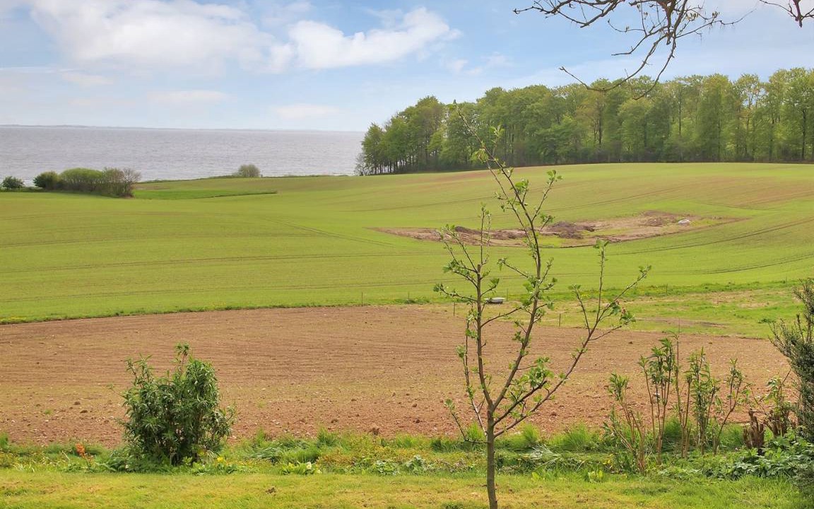 Photo of Others in Kettingskov