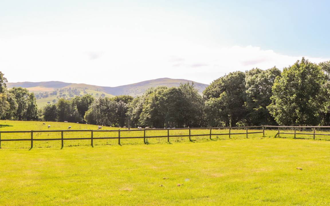 Photo of Others in Mold