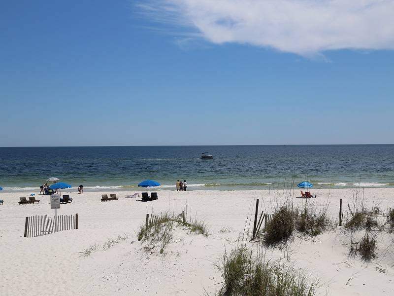 Photo of Others in Gulf Shores