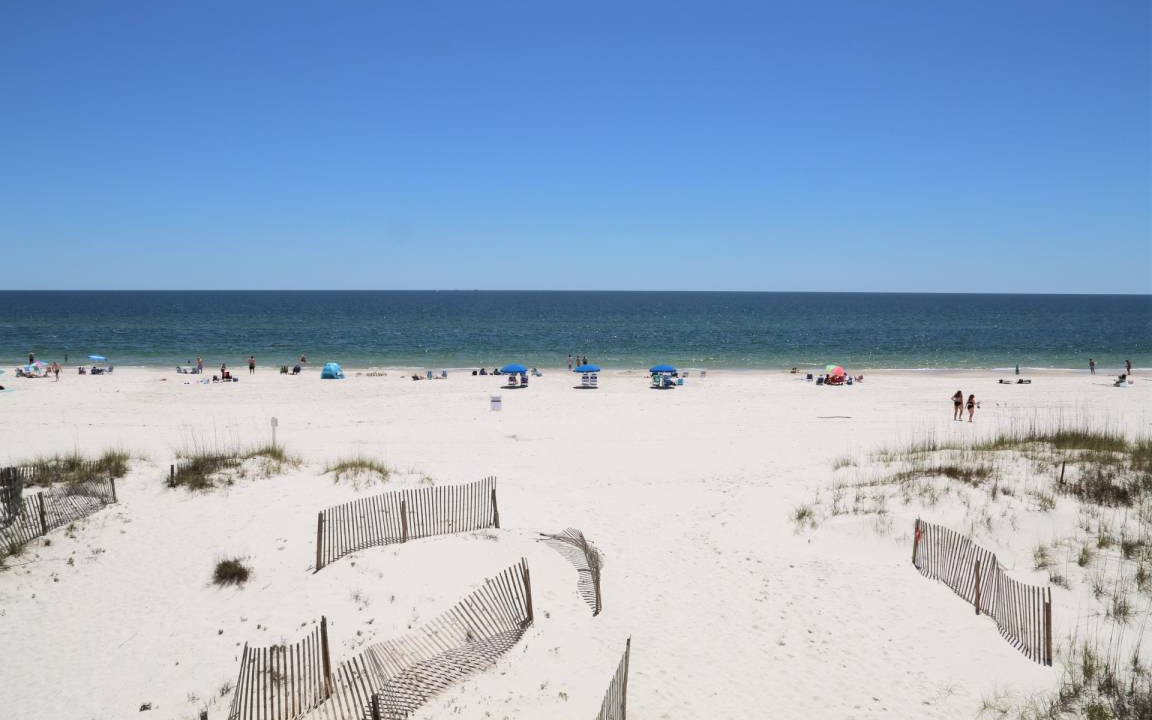 Photo of Others in Gulf Shores