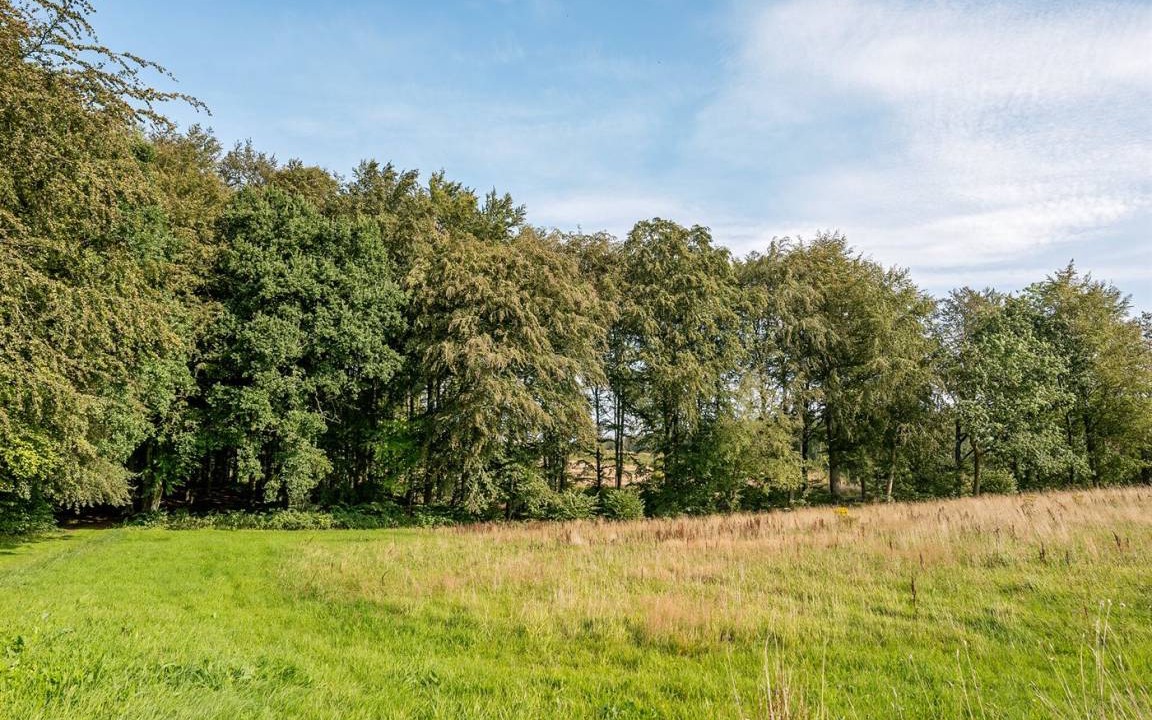 Photo of Others in Diernæs