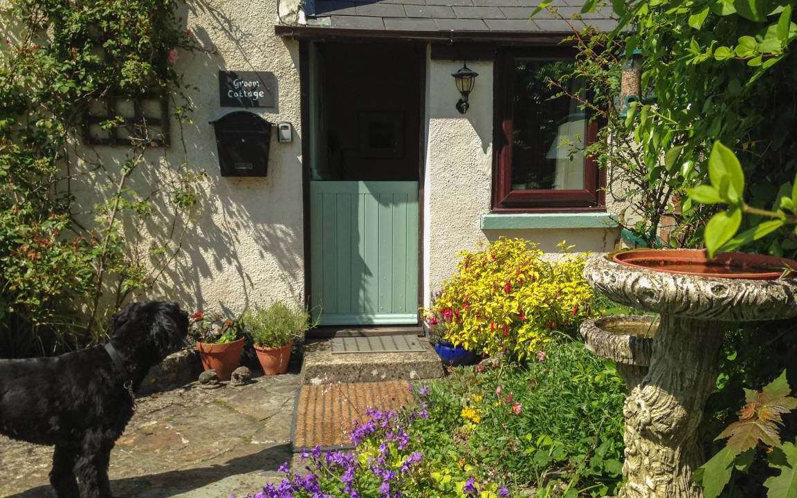 Photo of Others in Bude