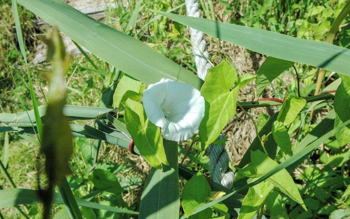 Photo of Others in Fynshav
