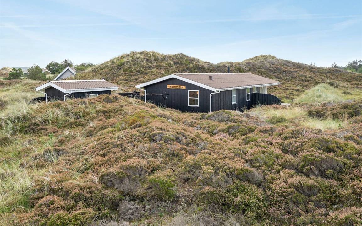 Photo of Others in Grærup Strand