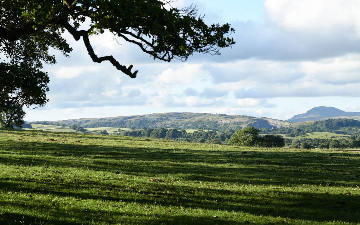 Photo of Others in Settle