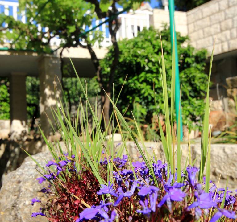 Photo of Others in Cove Tri Zala (Zrnovo)