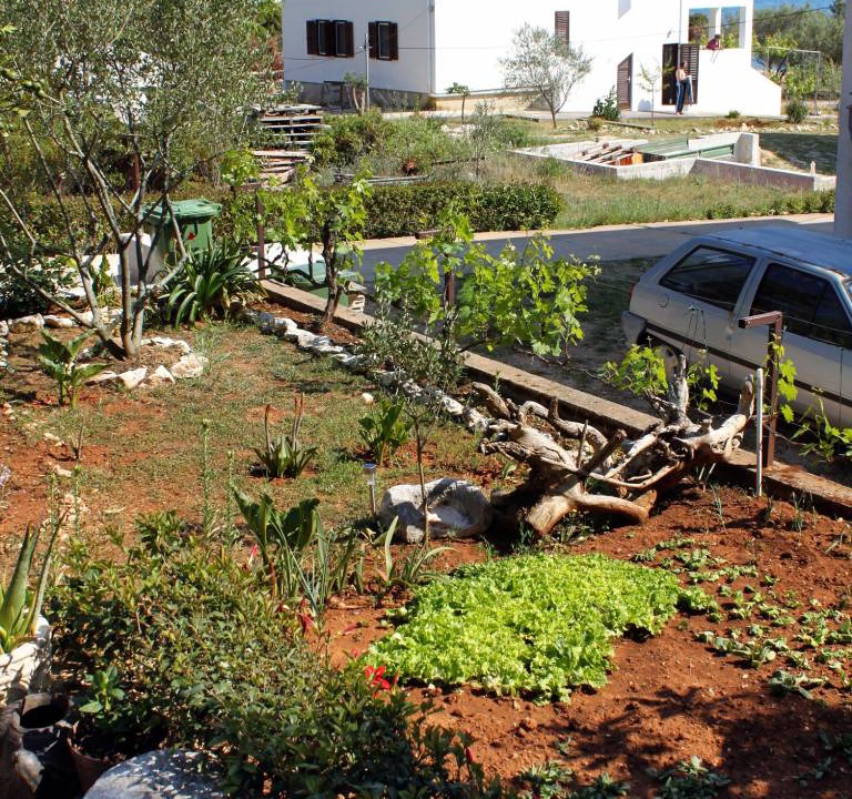 Photo of Others in Molat