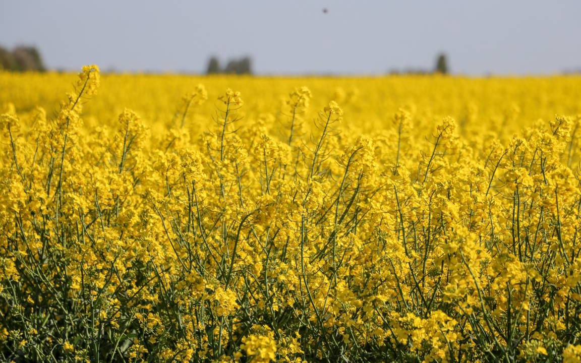 Photo of Others in Ryther