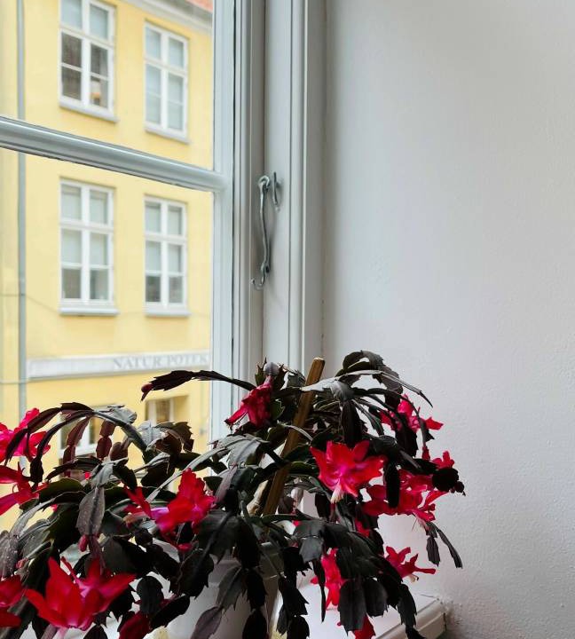 Photo of Others in Copenhagen City Centre