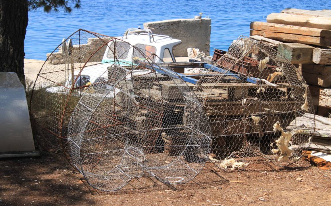 Photo of Others in Island Dugi Otok