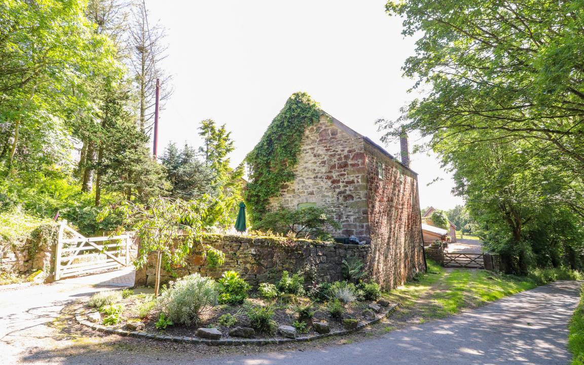 Photo of Others in Mold