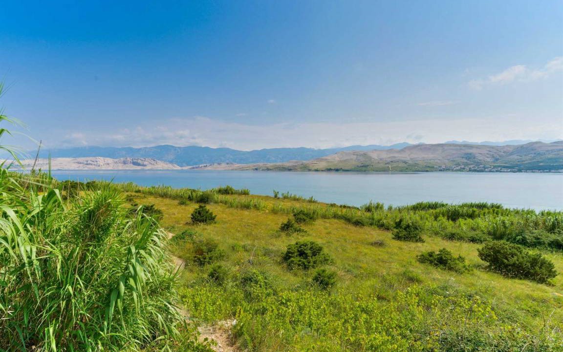 Photo of Others in Pag