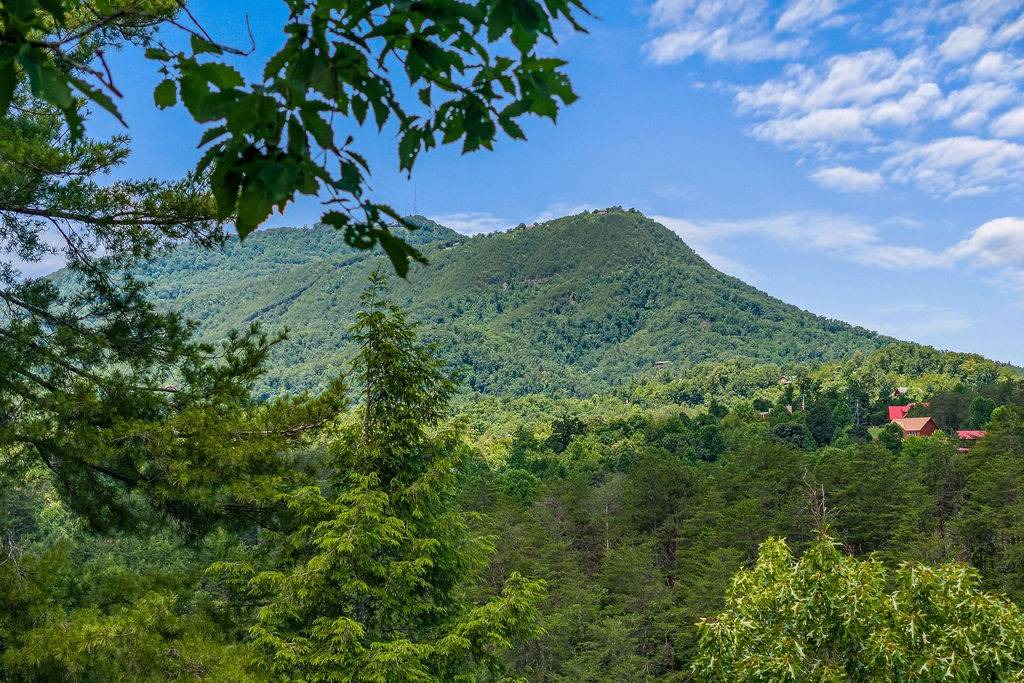 Photo of Others in Sevierville