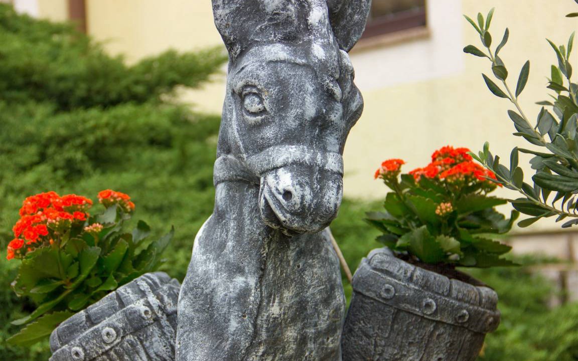 Photo of Others in Senj