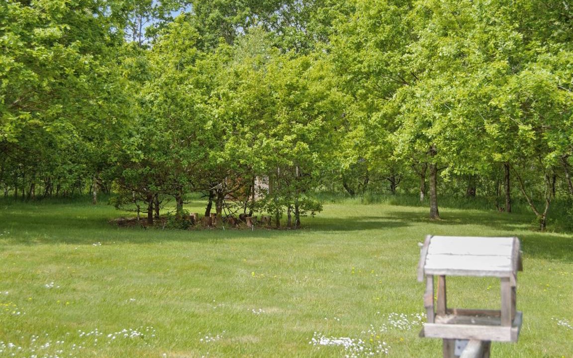 Photo of Outdoor in Skygge