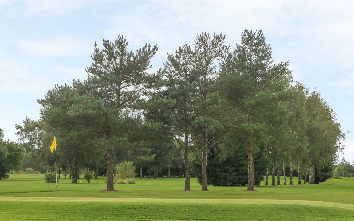 Photo of Others in Storwood