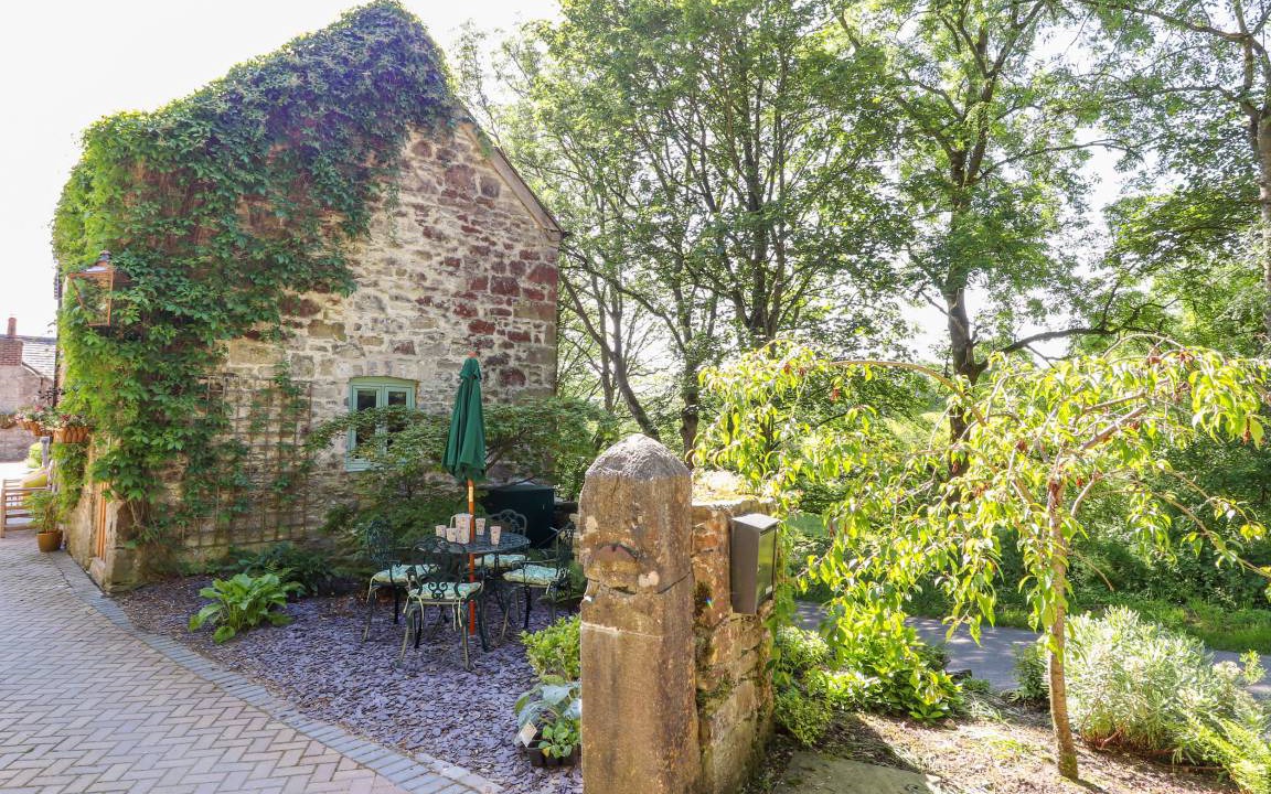 Photo of Others in Mold