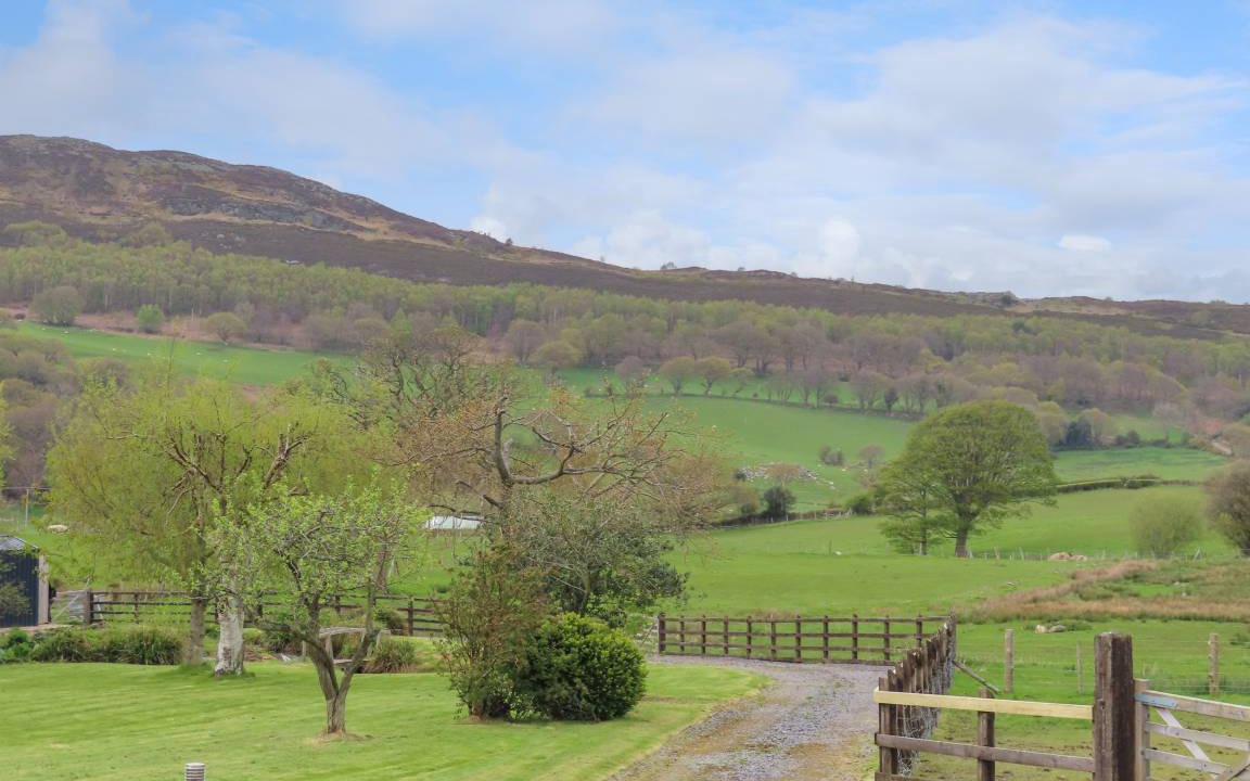 Photo of Others in Henryd