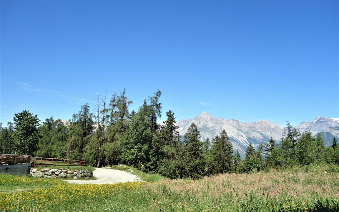 Photo of Others in Veysonnaz