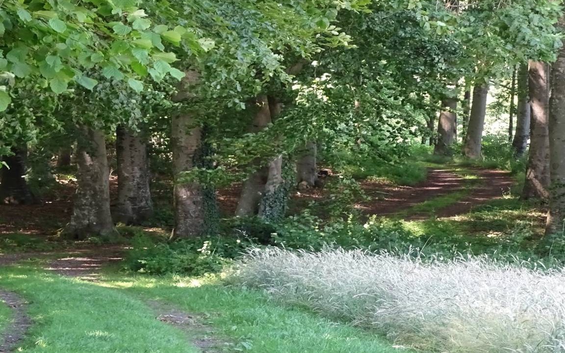 Photo of Others in Diernæs
