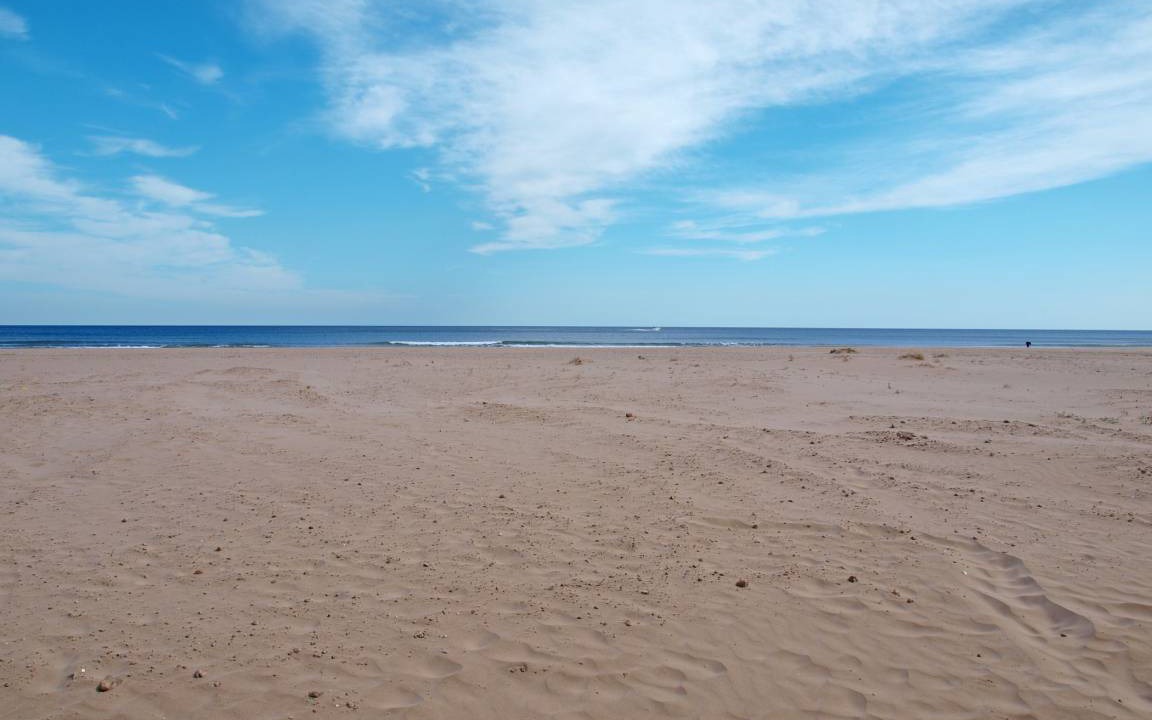 Photo of Others in Alboraya