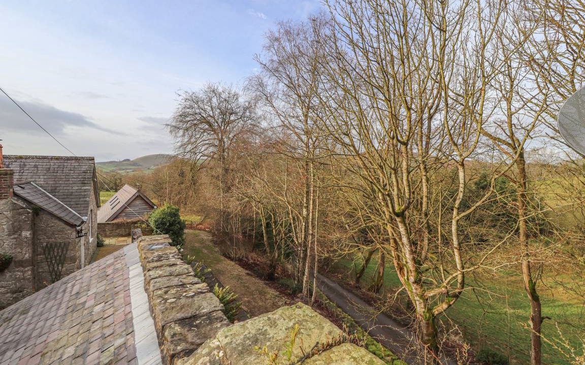 Photo of Others in Mold