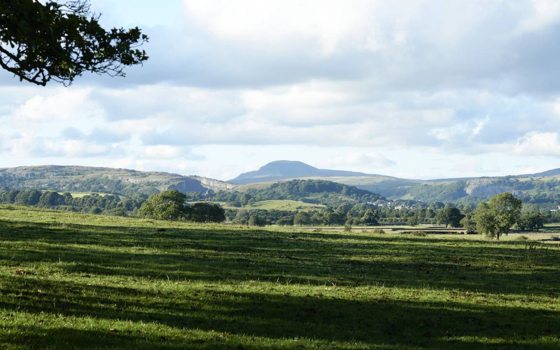 Photo of Others in Settle