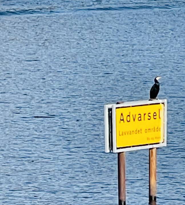 Photo of Others in Sydhavnen