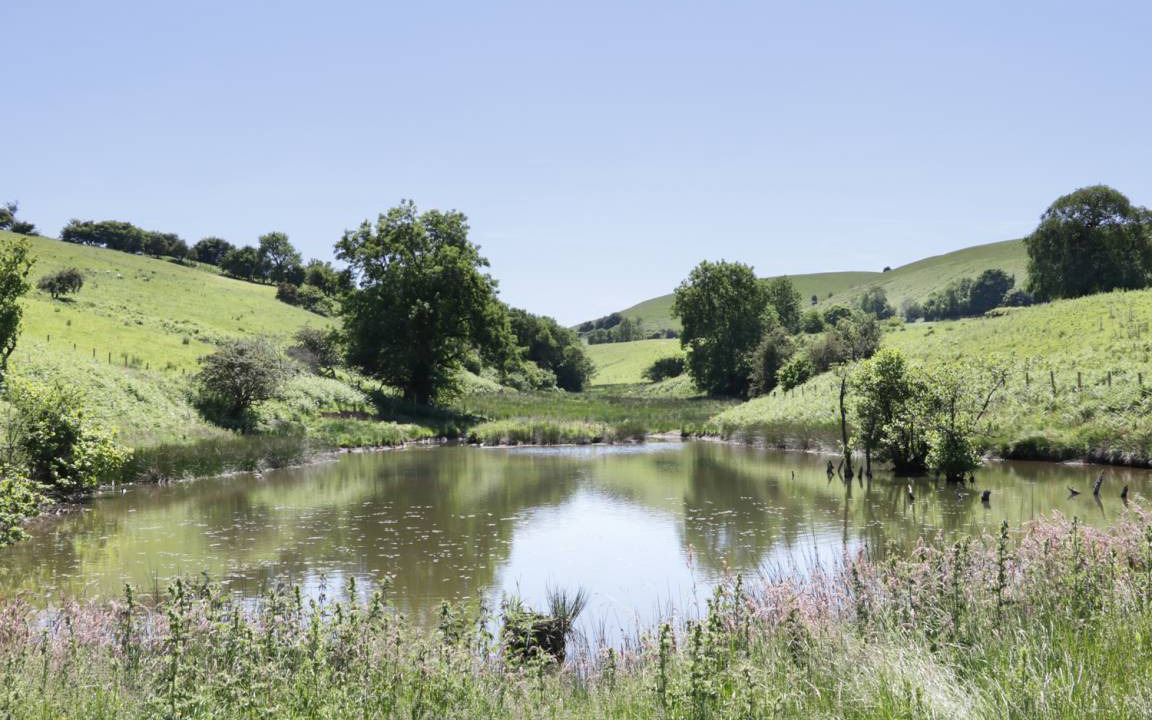 Photo of Others in Newcastle-on-Clun