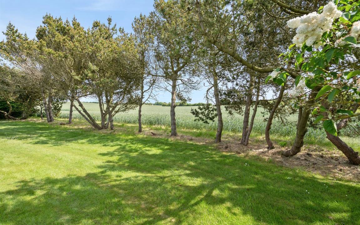 Photo of Outdoor in Skastrup Strand
