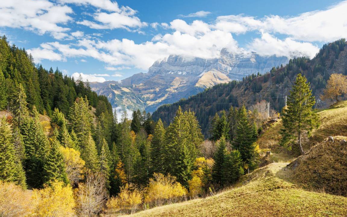 Photo of Others in Val d'Illiez