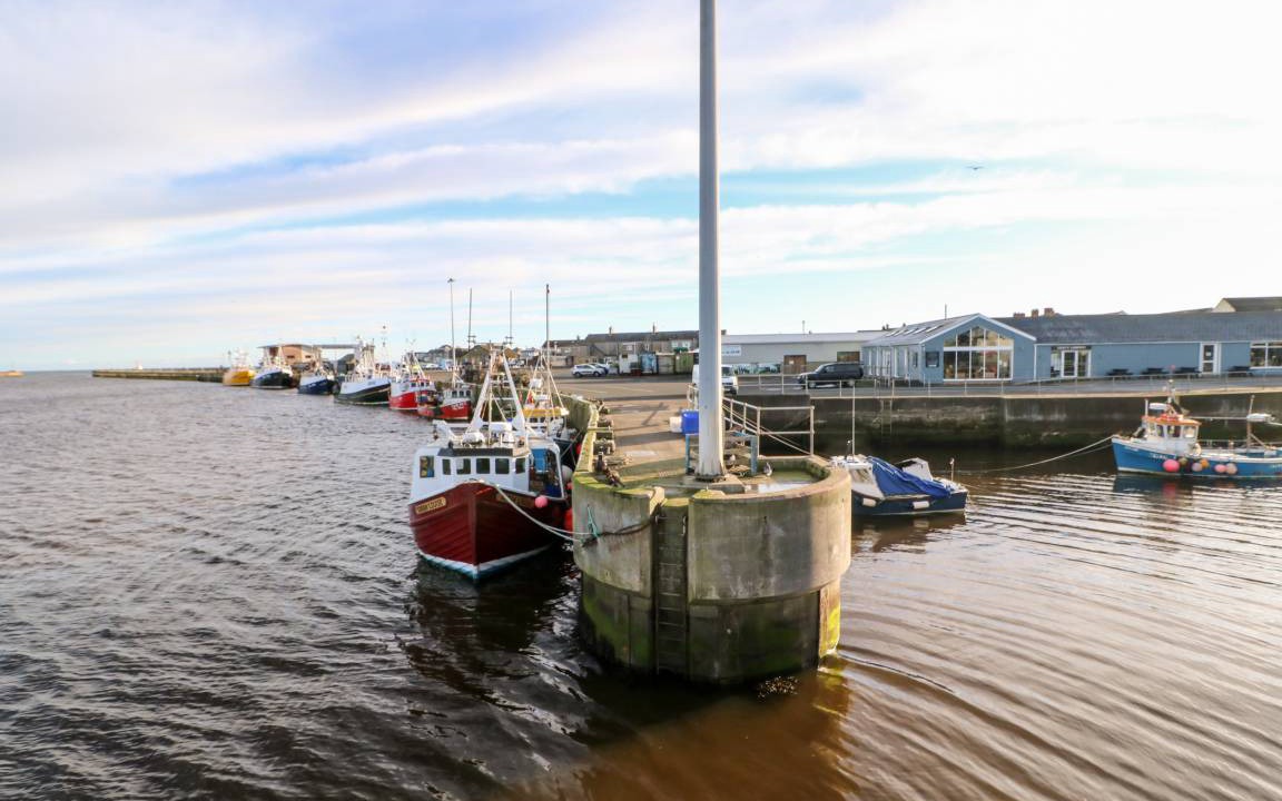 Photo of Others in Amble