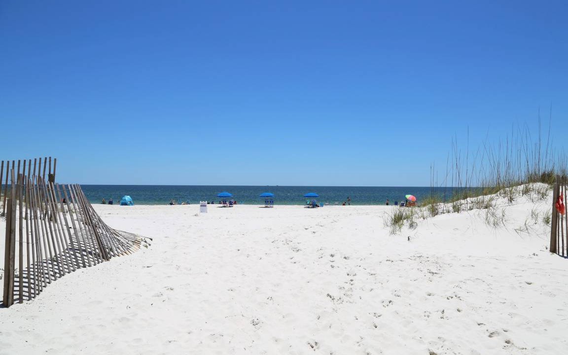 Photo of Others in Gulf Shores