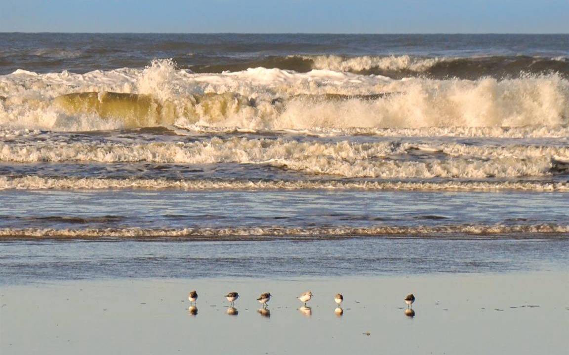Photo of Others in Grærup Strand