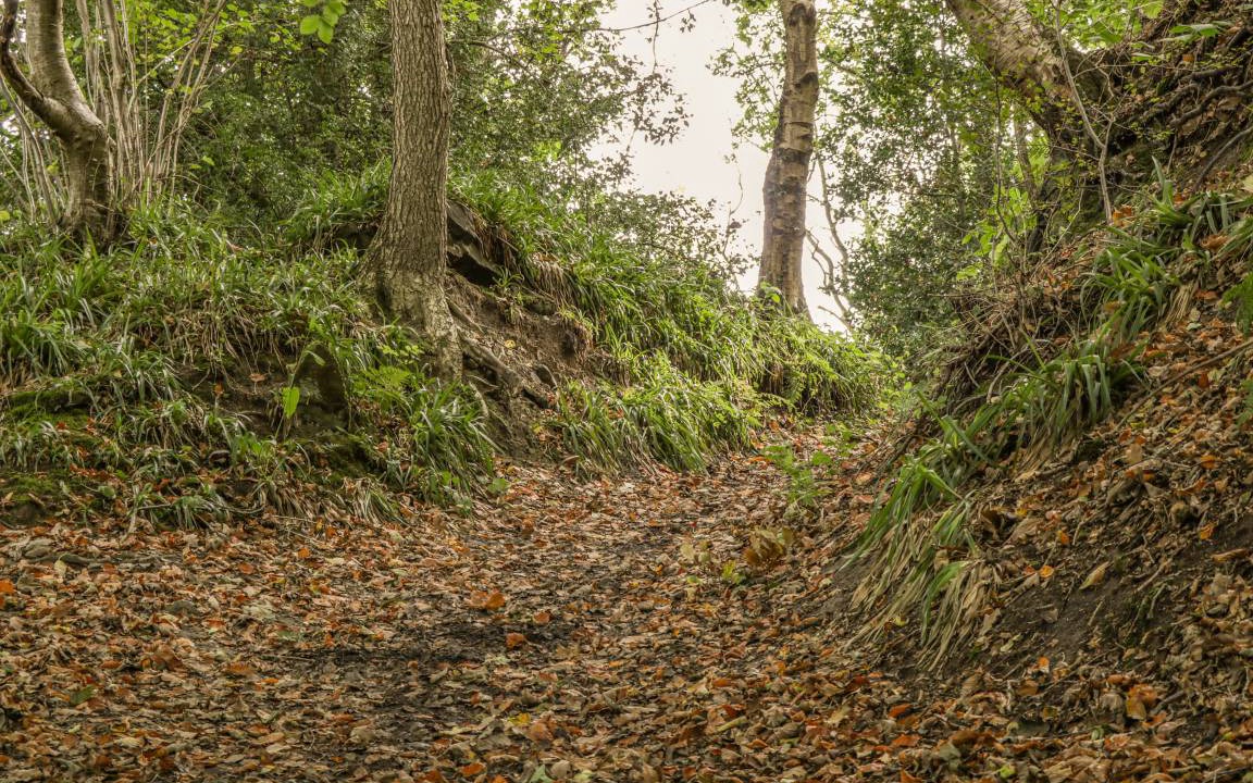 Photo of Others in Great Fryup Dale